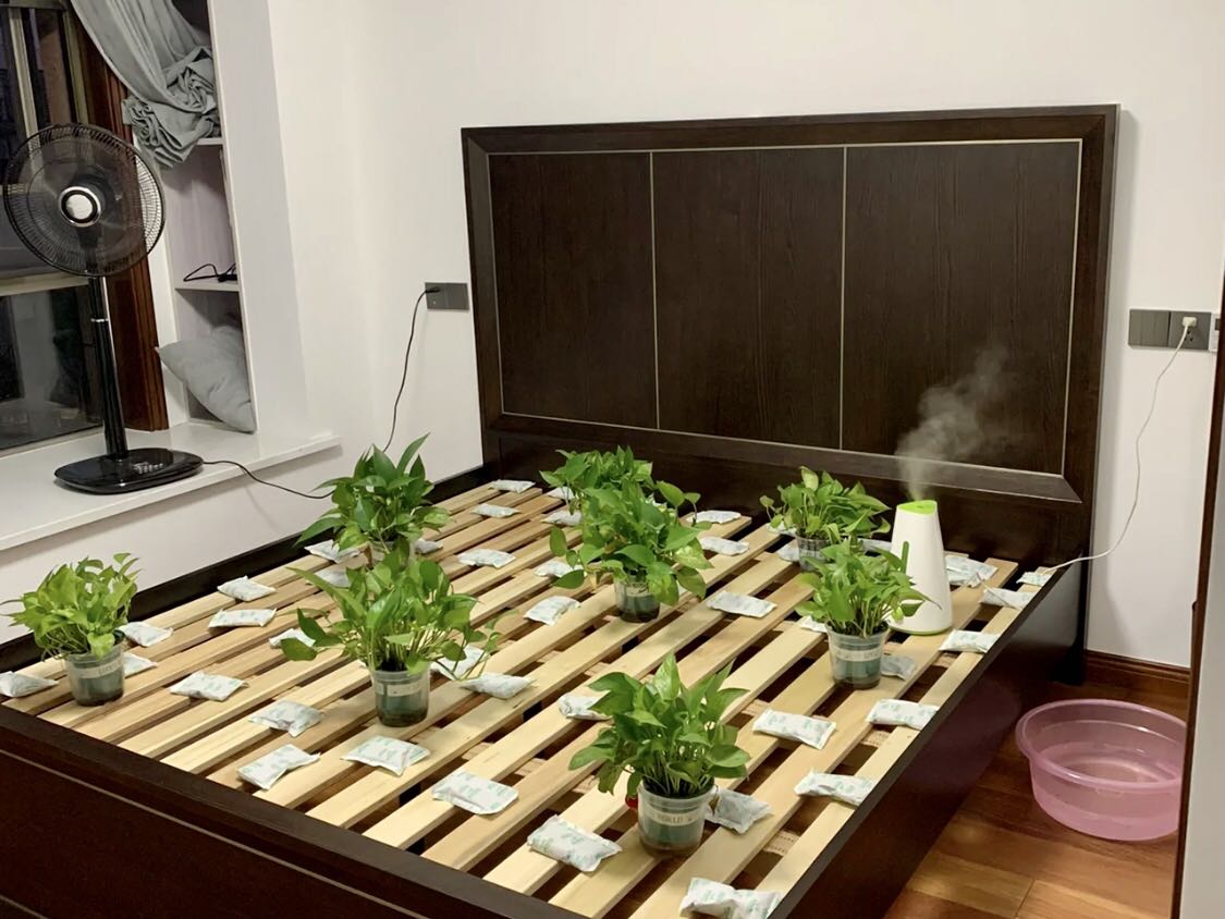 绿植炭包除甲醛